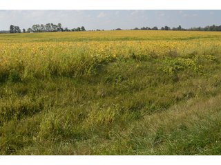 Property photo 48 - REAL ESTATE AUCTION - 604+/- ACRES IN 14 TRACTS IN MERCER CO., OHIO